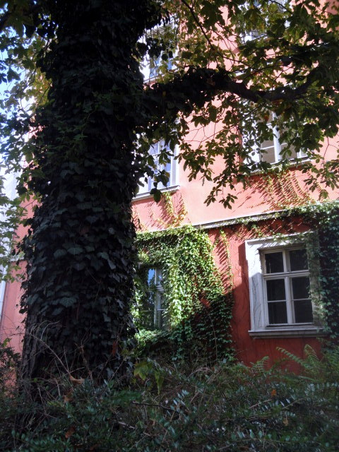 Pink haus in der Sonne