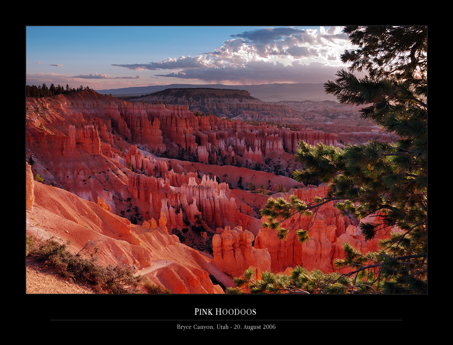 Pink Hoodoos