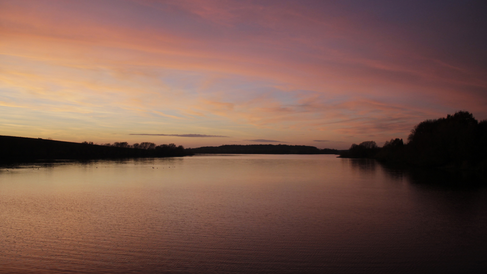 pink hour