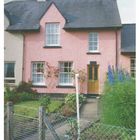 Pink House