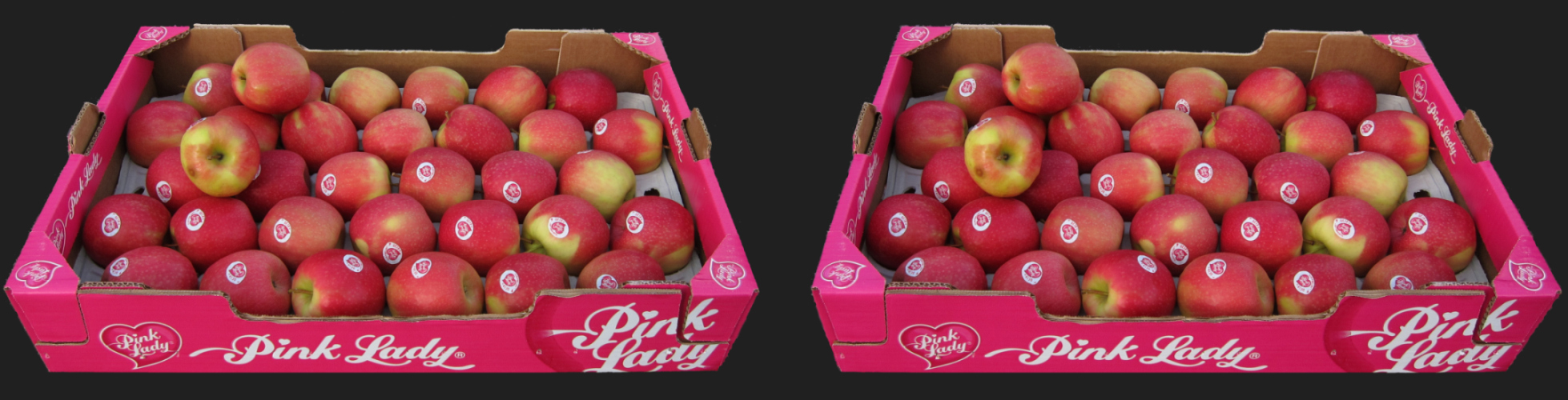 Pink Lady (3D X-Blick)