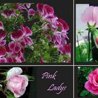 Pink -Ladys