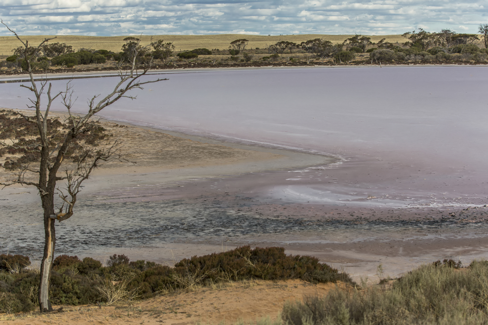 Pink Lake