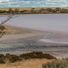 Pink Lake