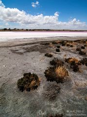 Pink Lake 2