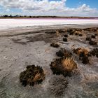 Pink Lake 2