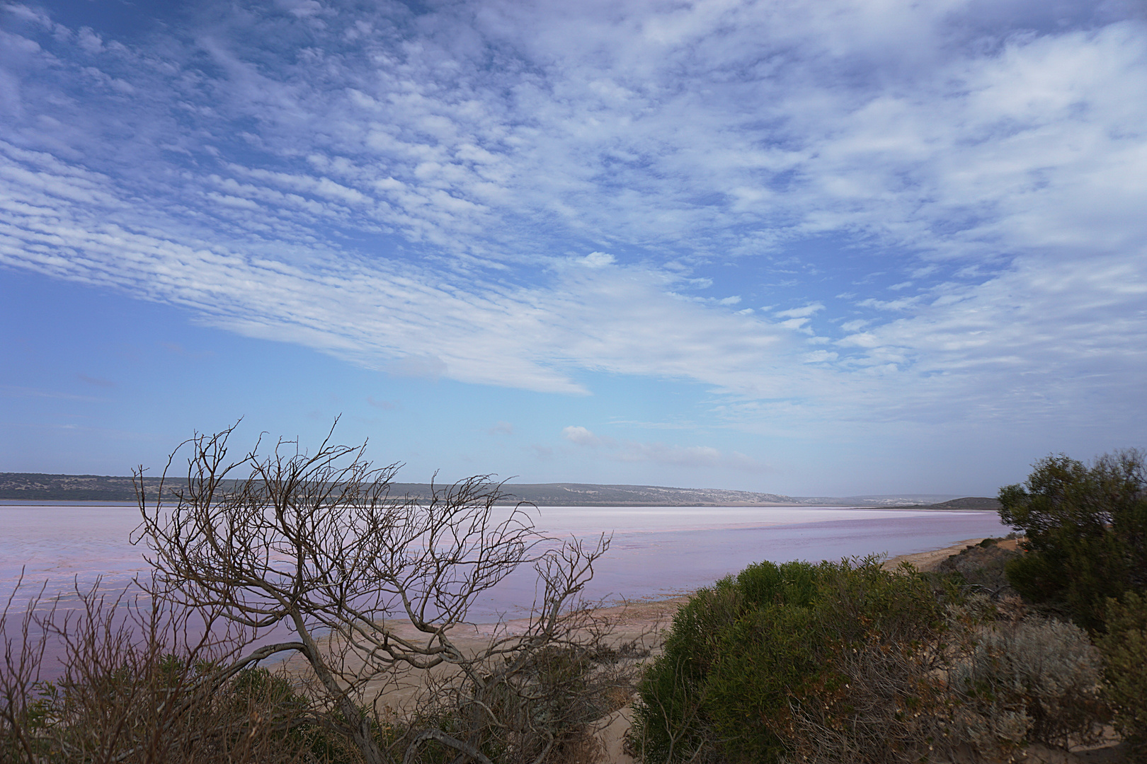 Pink Lake