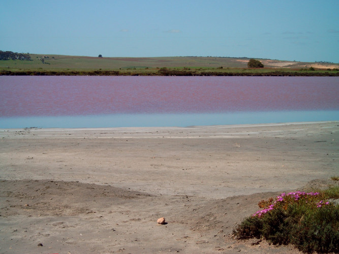 Pink Lake