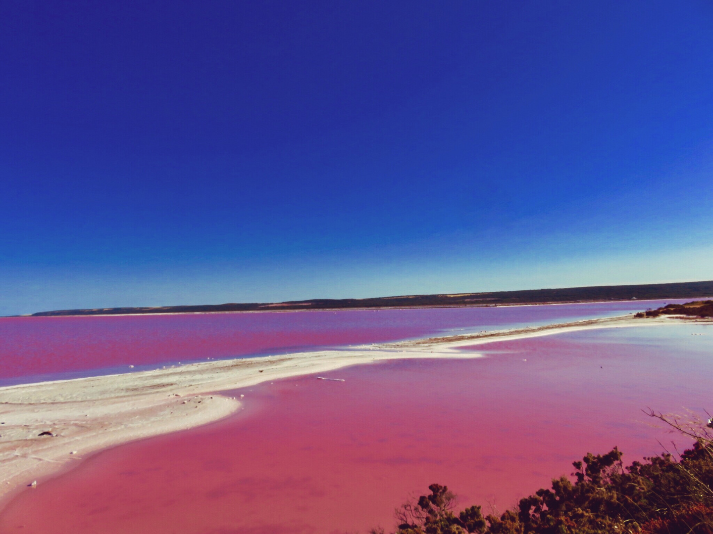 Pink Lake Australia