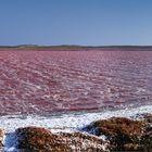 Pink lake