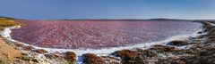 Pink lake