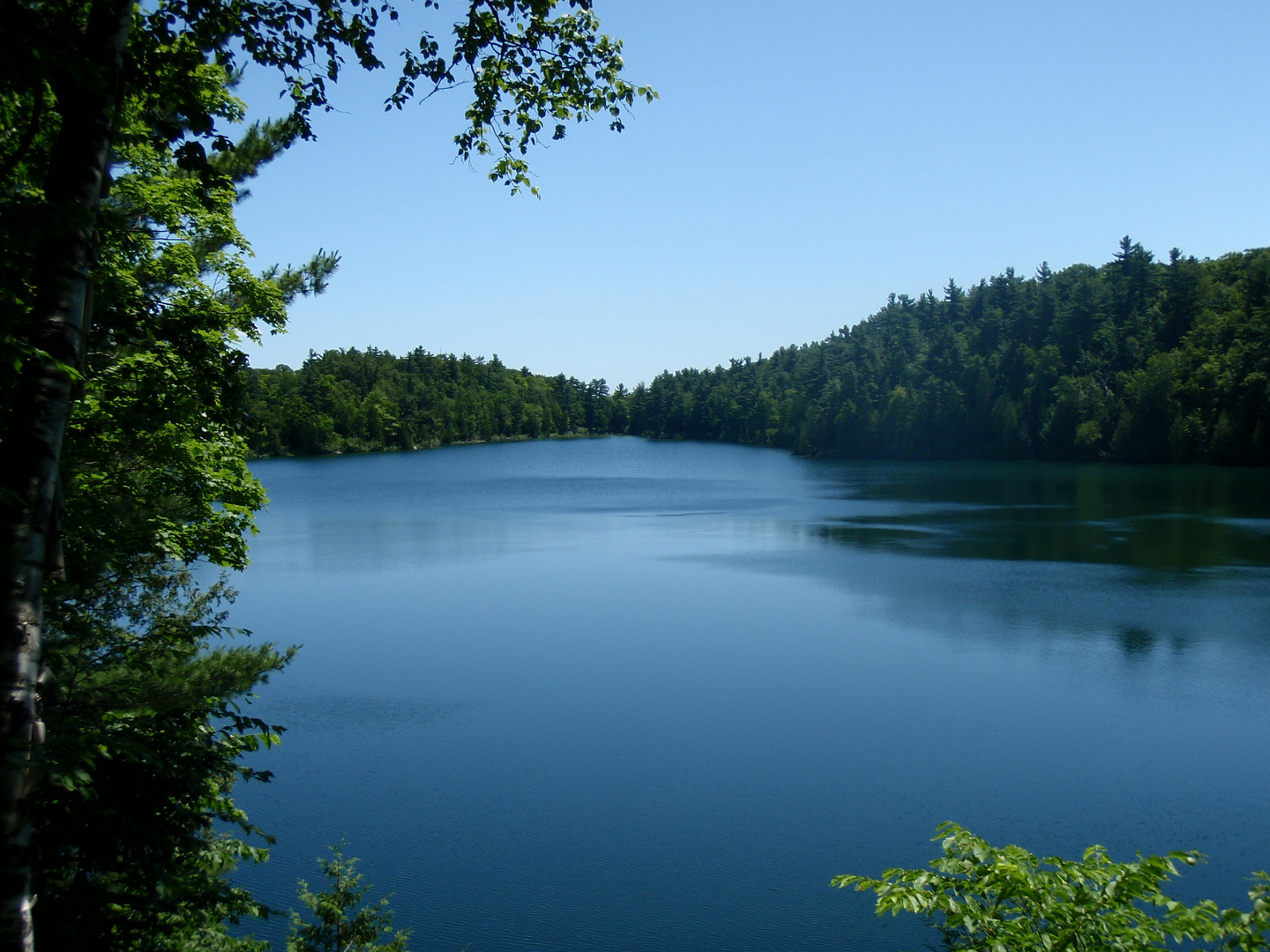 Pink Lake