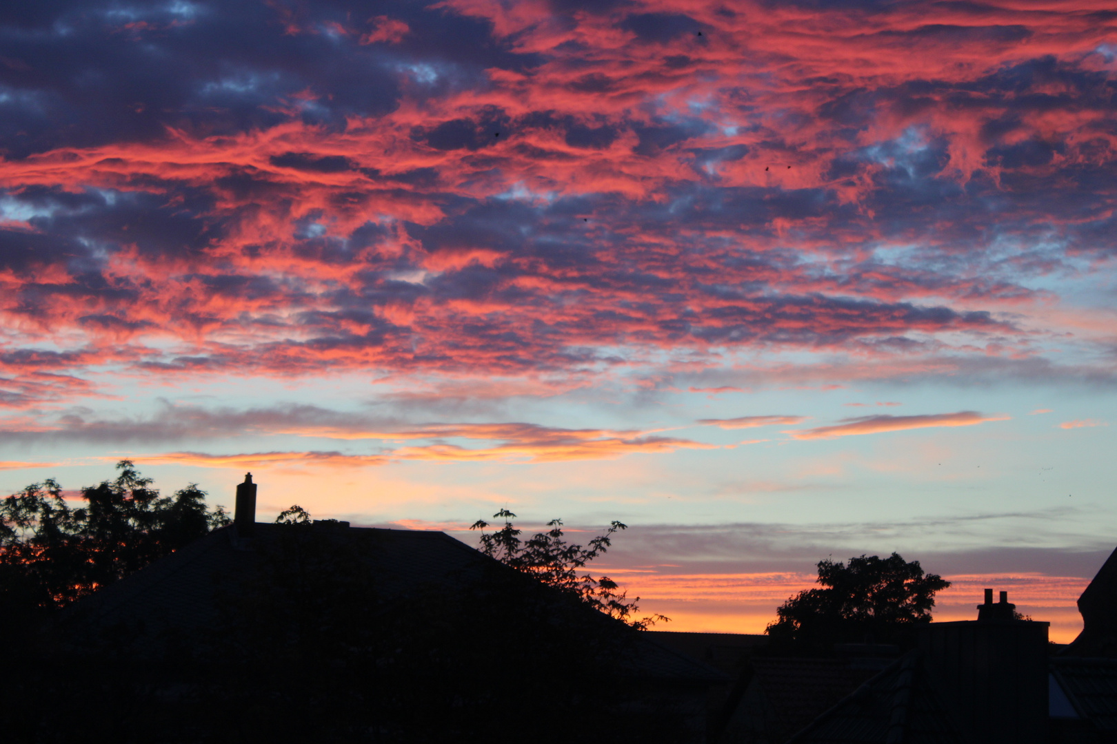 Pink Morning