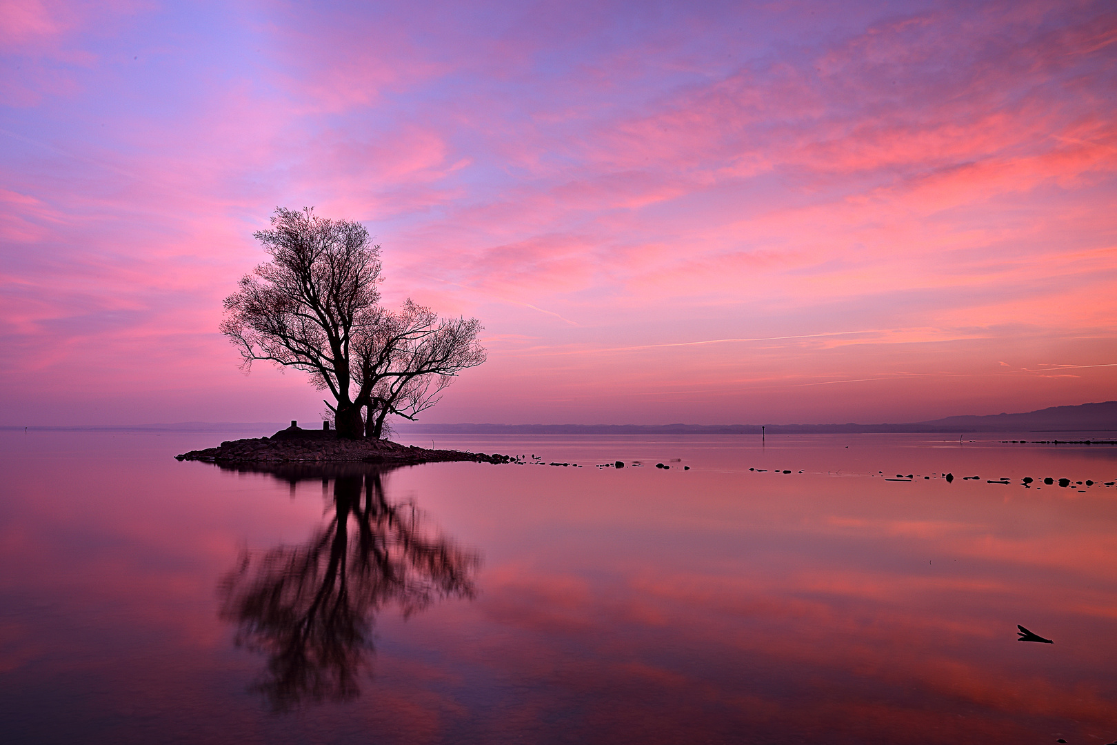 pink morning