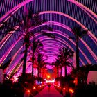 Pink Night at the Umbracle Discothek