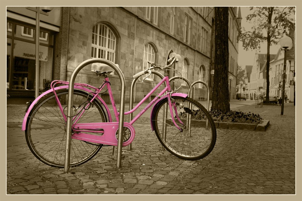 Pink Panther an der Leine