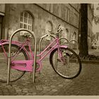 Pink Panther an der Leine