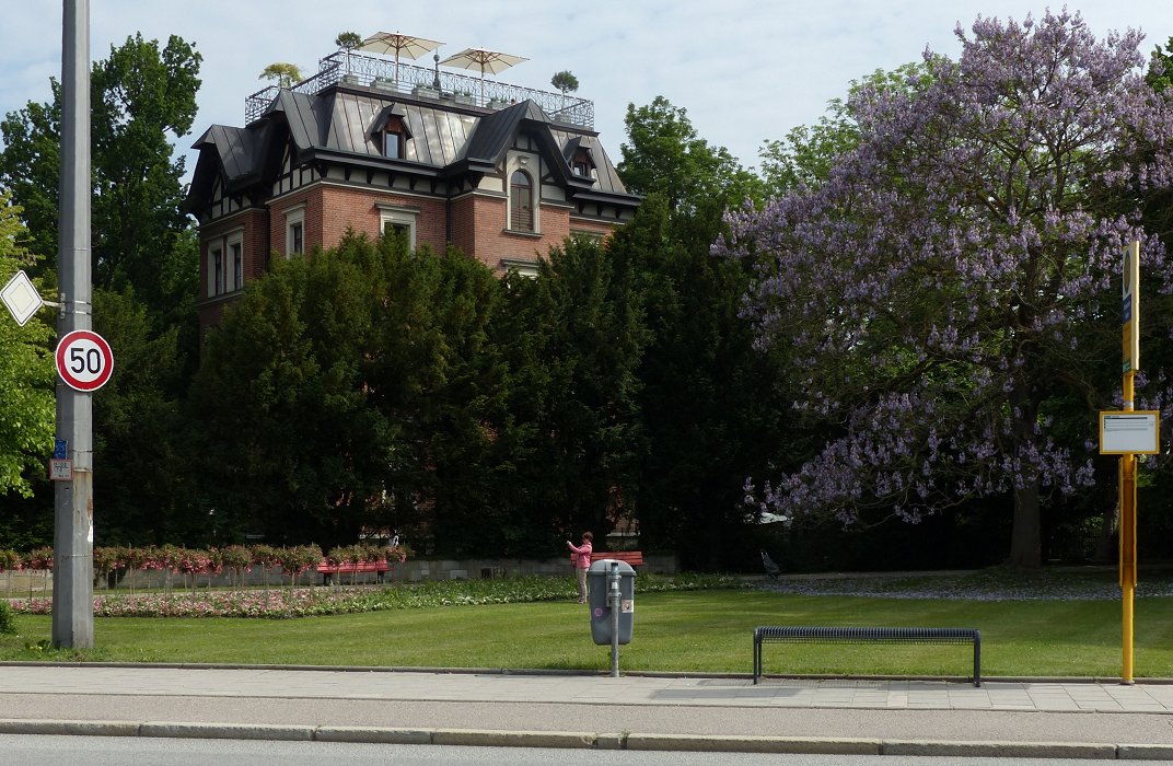 Pink passt im Park immer