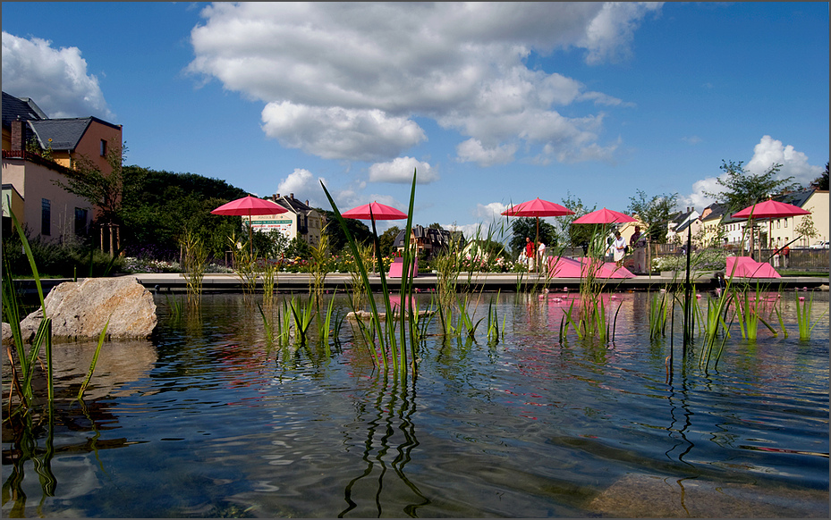 Pink Pool