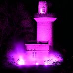 Pink Rapunzel Turm