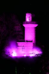 Pink Rapunzel Turm