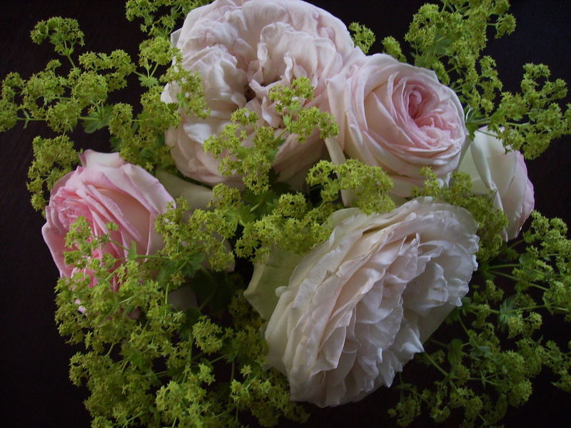 Pink Roses Bouquet