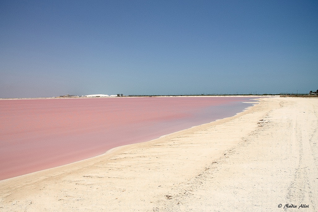 Pink Sea