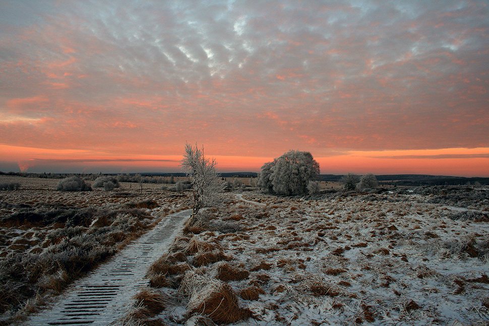 ~ pink silence ~