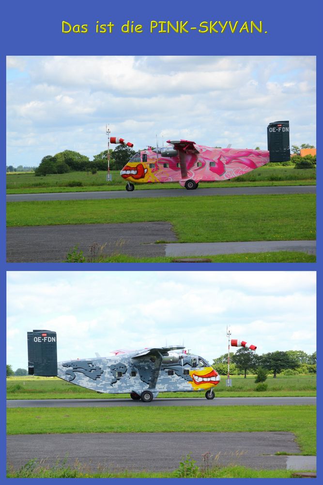 Pink-Skyvan