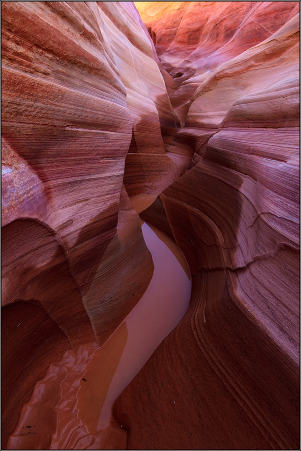 Pink (Slot-) Canyon