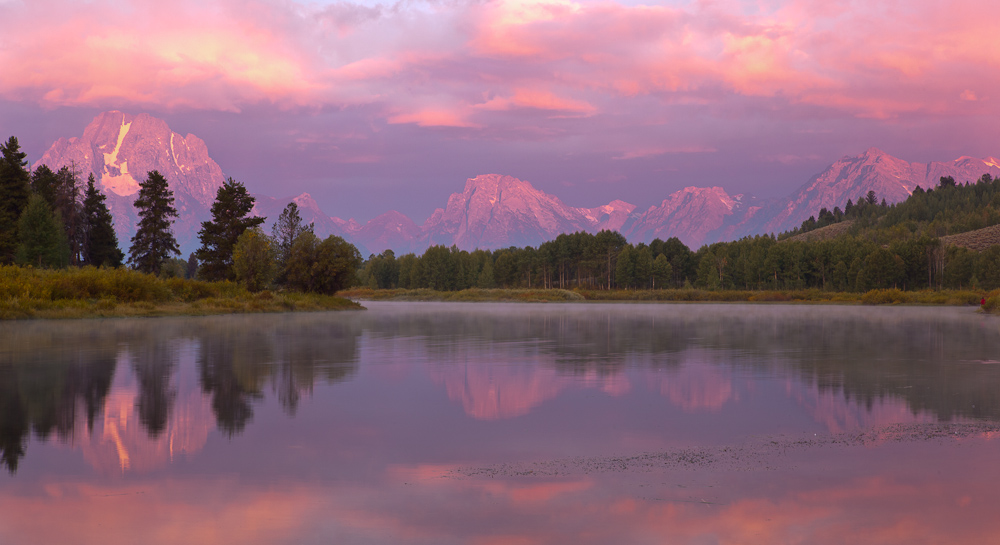 Pink Sunrise