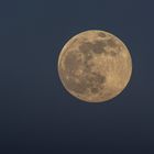 Pink Super Moon