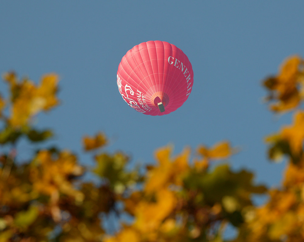 Pink trifft Herbst