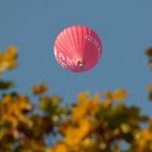 Pink trifft Herbst