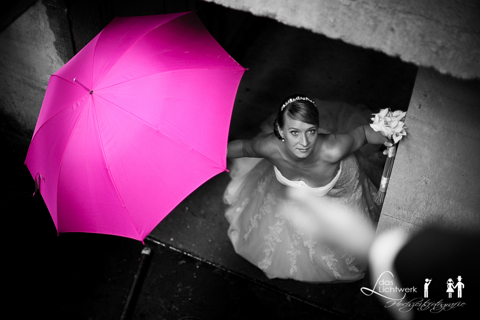 Pink Umbrella