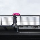 Pink Umbrella