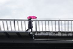 Pink Umbrella