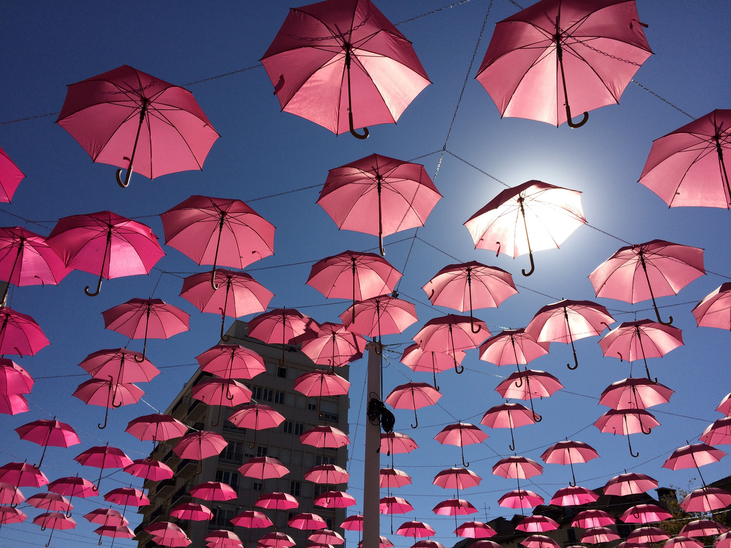 Pink umbrella.