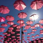 Pink umbrella.