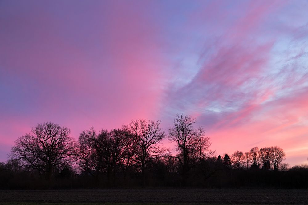 Pink und Blau