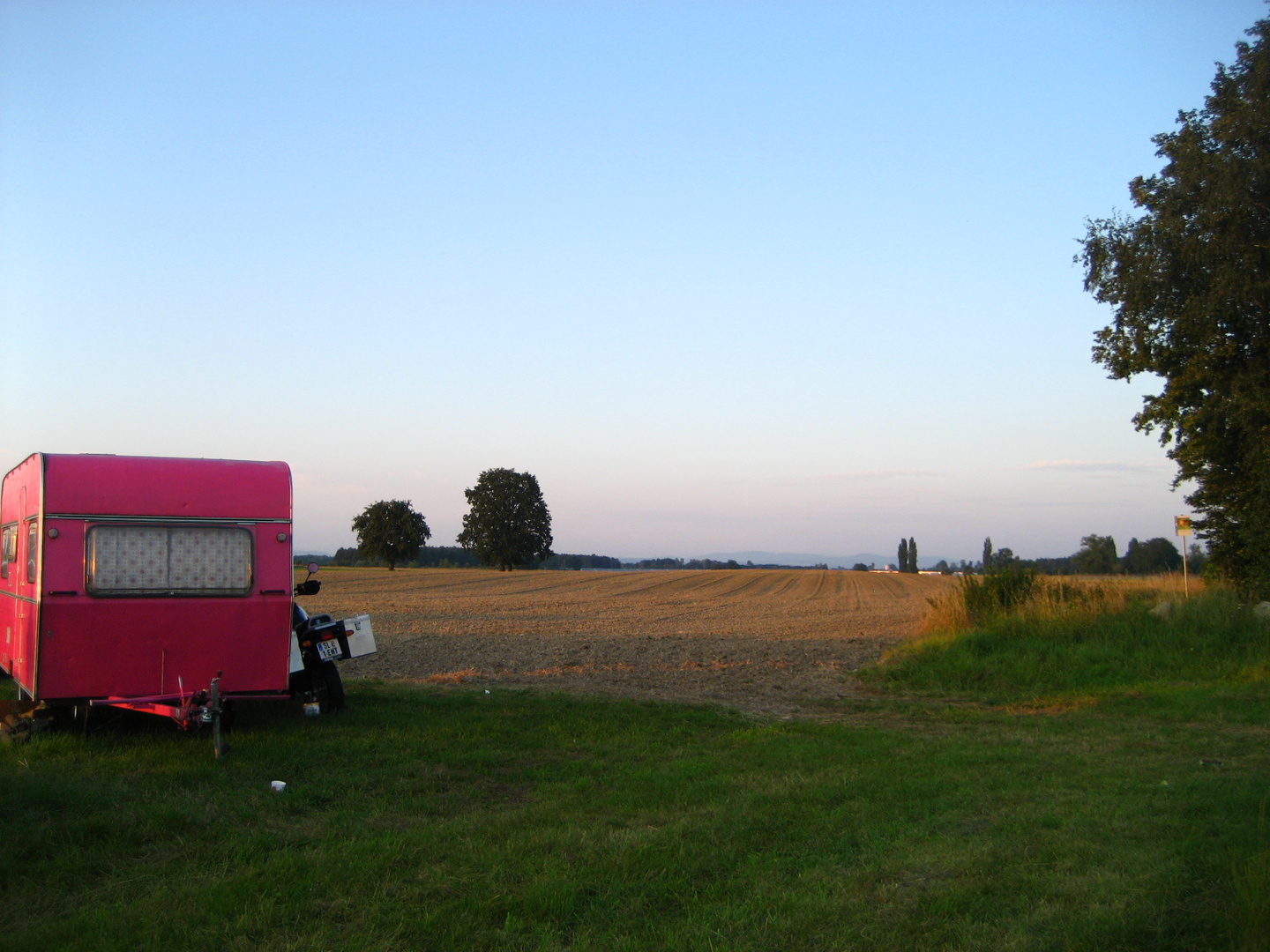 Pinker Hänger