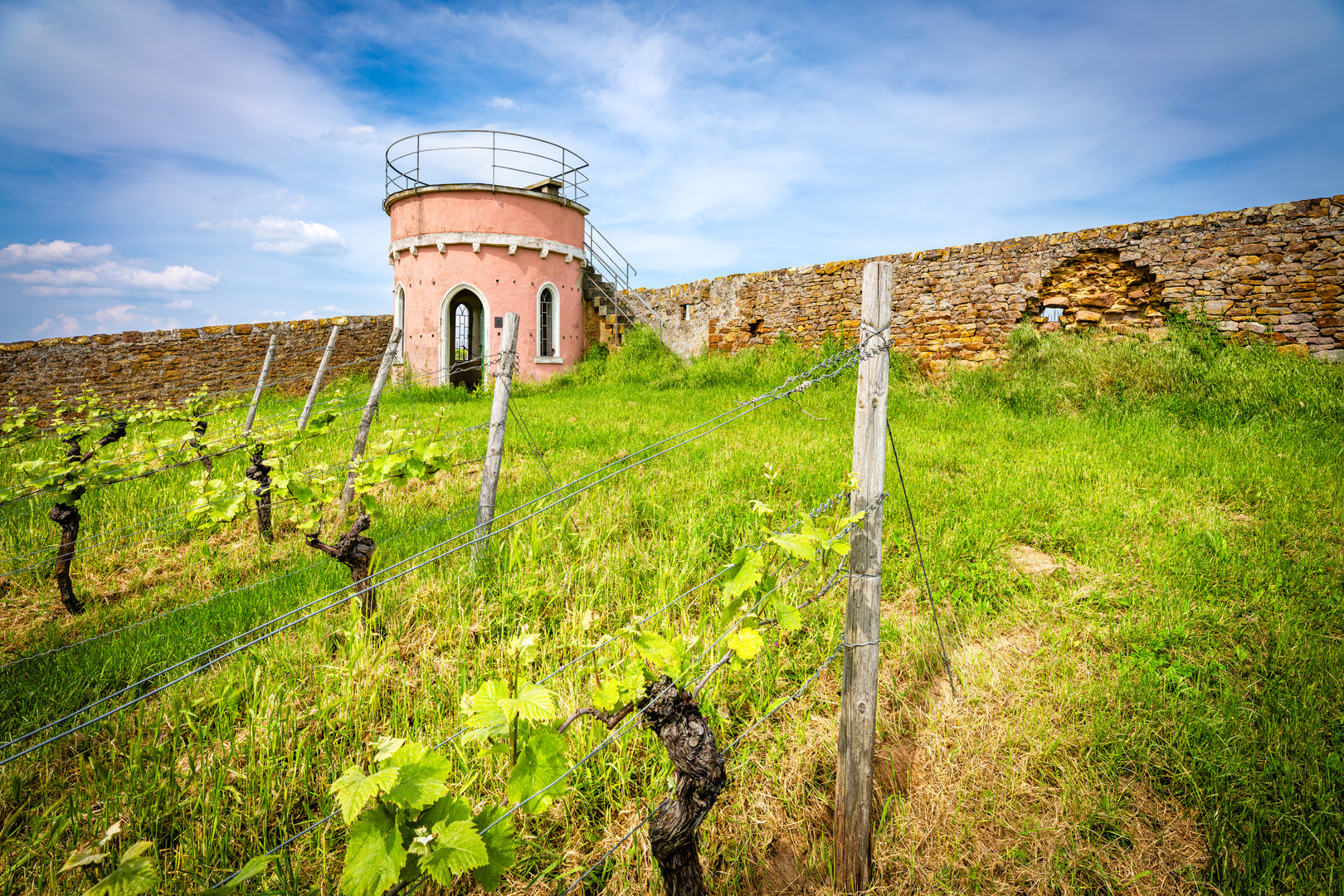 pinker Trullo Wendelsheim 30