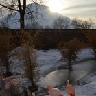 Pinkes Treiben im Salzburger Zoo