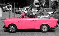 Pinky Trabby