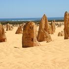 Pinnacles