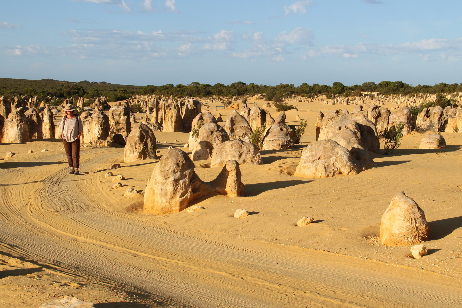 Pinnacles