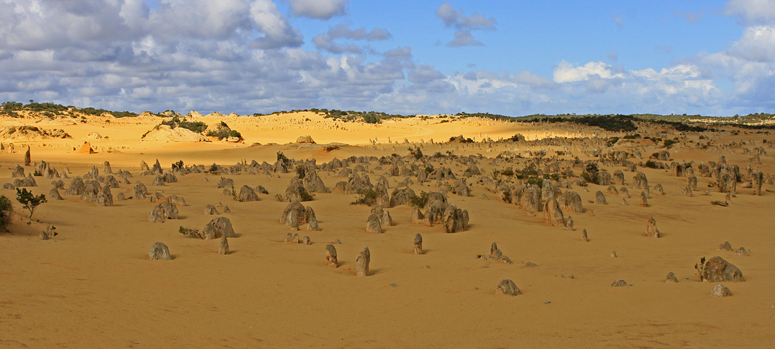 Pinnacles Desert 2