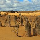 Pinnacles Desert