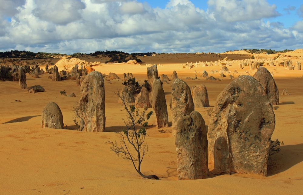 Pinnacles Desert