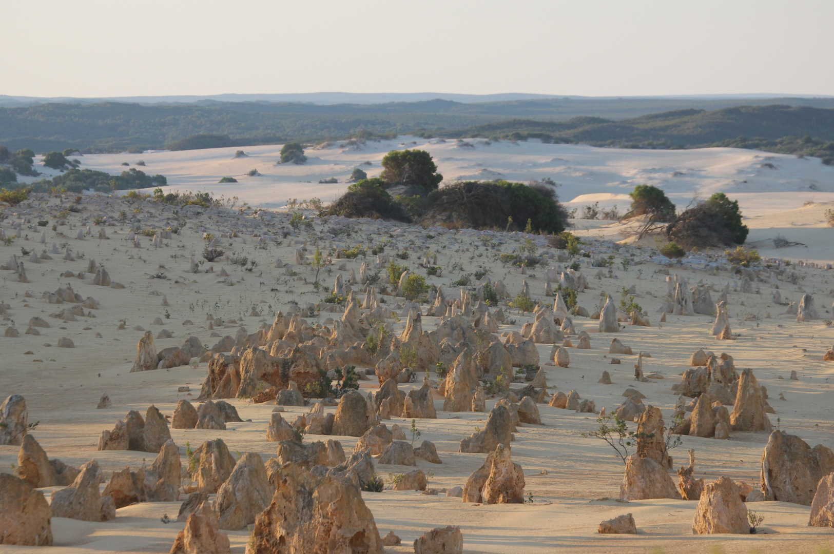 Pinnacles Desert